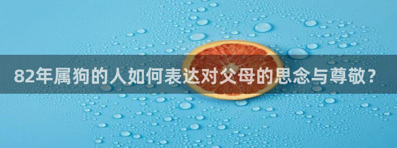 开心彩招商：82年属狗的人如何表达对父母的思念与尊敬？