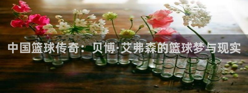 开心彩2平台注册：中国篮球传奇：贝博·艾弗森的篮球梦与现实