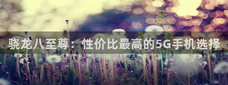 成都开心彩电子有限公司：骁龙八至尊：性价比最高的5G手机选择