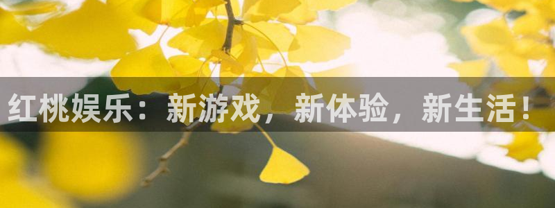 开心彩体育eon：红桃娱乐：新游戏，新体验，新生活！