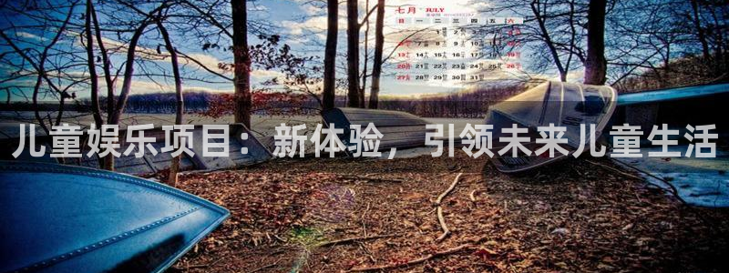 开心彩4代理：儿童娱乐项目：新体验，引领未来儿童生活
