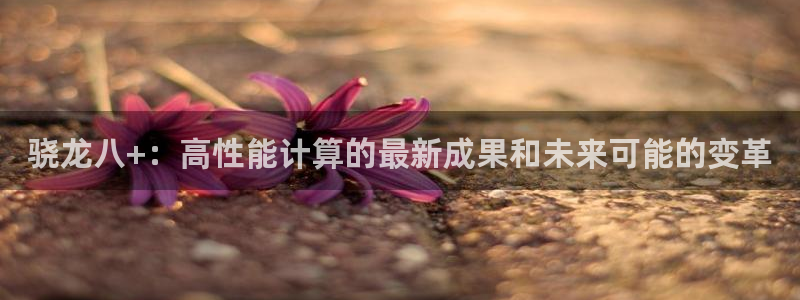 开心彩体育注册代理：骁龙八+：高性能计算的最新成果和未来可能的变革
