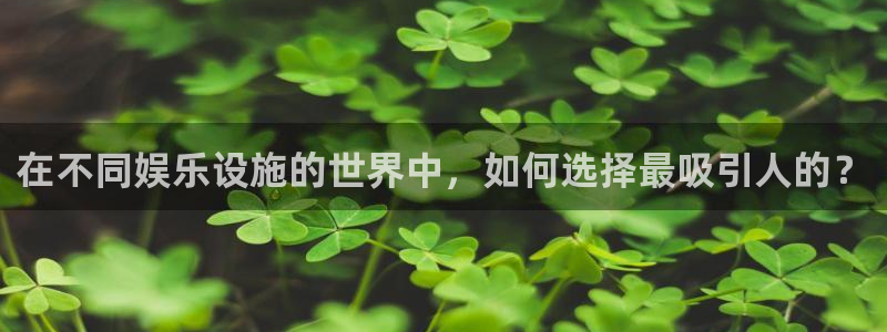 开心彩体育：在不同娱乐设施的世界中，如何选择最吸引人的？