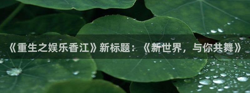 开心彩体育2官网入口