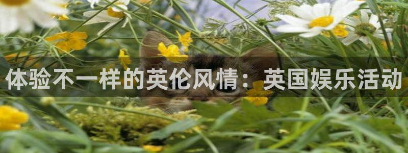 开心彩2登录地址：体验不一样的英伦风情：英国娱乐活动