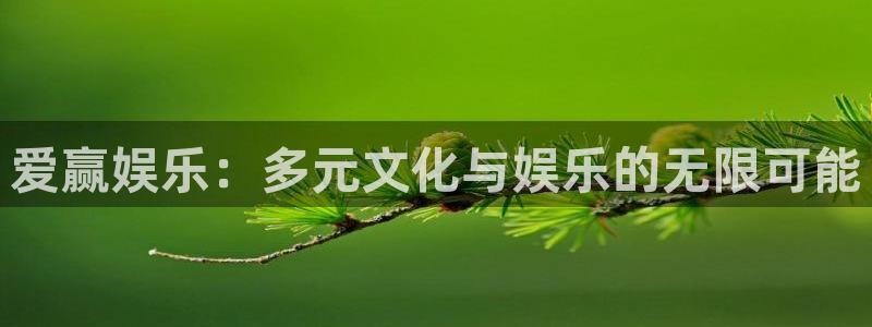 开心彩电子有限公司：爱赢娱乐：多元文化与娱乐的无限可能