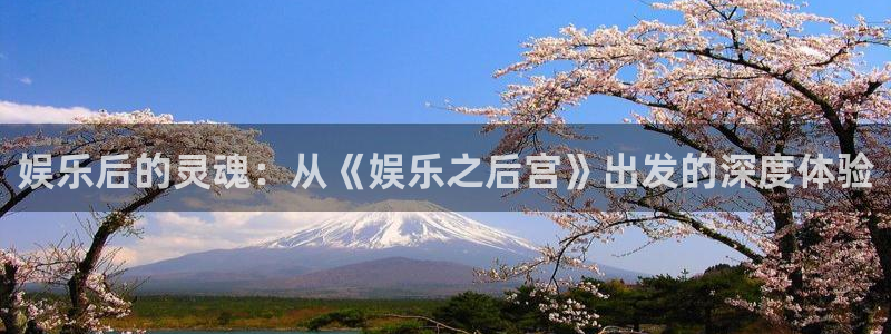 开心彩3登录：娱乐后的灵魂：从《娱乐之后宫》出发的深度体验