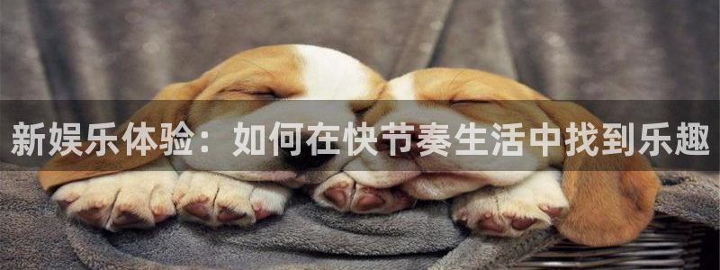 开心彩平台开户链接：新娱乐体验：如何在快节奏生活中找到乐趣