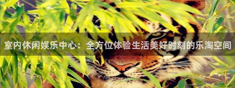 东莞市开心彩电子科技有限公司：室内休闲娱乐中心：全方位体验生活美好时刻的乐淘空间