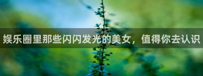 开心彩2平台：娱乐圈里那些闪闪发光的美女，值得你去认识