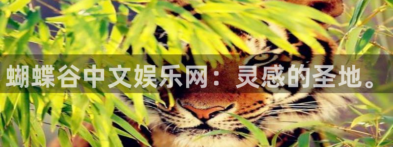 开心彩平台在线开户：蝴蝶谷中文娱乐网：灵感的圣地。