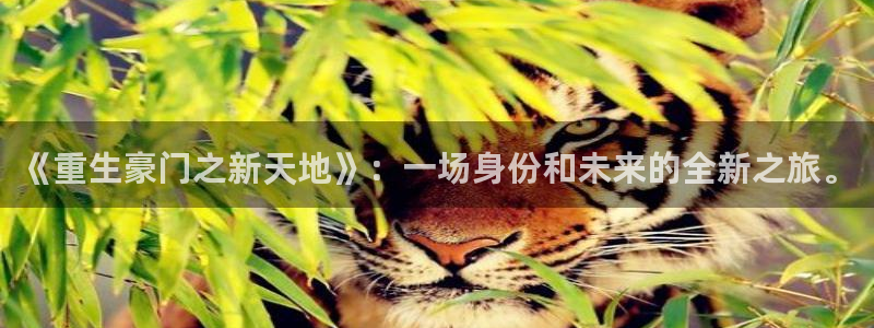 开心彩体育注册登录入口：《重生豪门之新天地》：一场身份和未来的全新之旅。