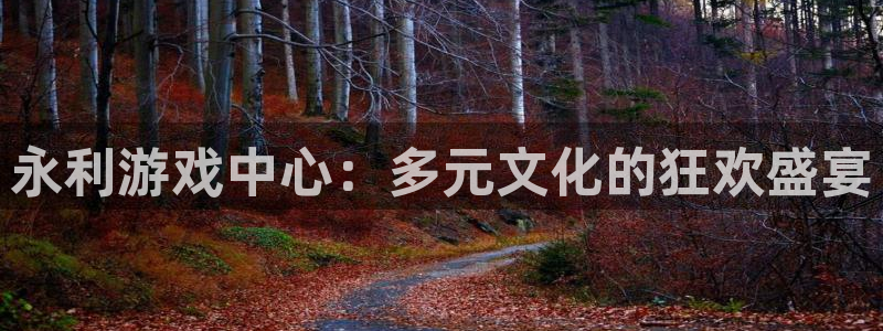 开心彩凯捷注册：永利游戏中心：多元文化的狂欢盛宴