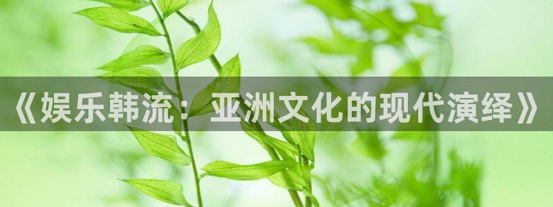 福建开心彩机电股份公司：《娱乐韩流：亚洲文化的现代演绎》