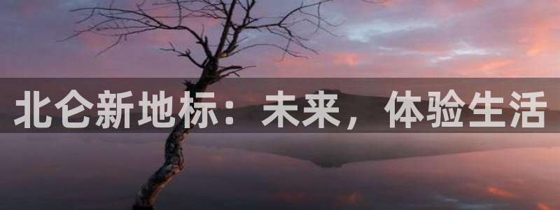 开心彩零能源集团：北仑新地标：未来，体验生活